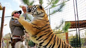 Visit a wisconsin zoo to observe and enjoy thousands of exotic and interesting animals from all over the world! Tiger King Celebrities Support Big Cat Public Safety Act Variety