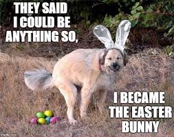 Just Supporting Dog Week Have A Happy Easter Imgflip