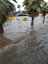 Los museos de la ciudad de torreón, son los escenarios donde se llevan a cabo las más importantes presentaciones históricas y de interés. Clima En Torreon