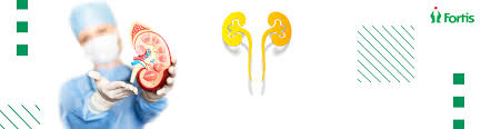 Best Kidney Transplant Hospital In India Fortis International