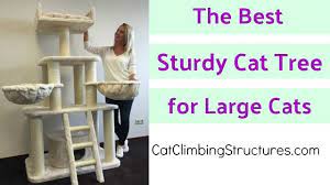 Avoid getting the cat trees with the small flat perches. The Best Sturdy Cat Tree For Large Cats Your Cat Needs This Cat Climbing Structures