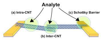 Carbon ≥85 %, >70% (carbon as swnt), diam. Molecular And Nanowire Based Sensors The Swager Group