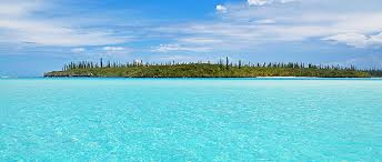 Image result for Caledonia Blue 1990 Summit