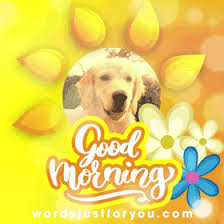 See more ideas about good morning, good morning greetings, good morning quotes. Cute Good Morning Gif 5514 Wordsjustforyou Com