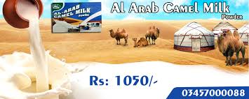 Camel milk's countless health benefits and creamy consistency make it the perfect dairy alternative for everyone! Al Arab Camel Milk Powder Rs 1050 Deva Herbal Medicine Wholesale