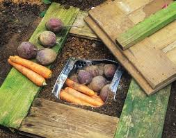 Erdmiete Eingegrabene Waschmaschinentrommel Garten Anpflanzen Garten Gewachshaus Selbstversorger Garten