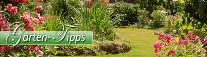 Hier dreht sich alles um die themen garten, pflanzen und blumen. Gartentipps Im Gartenversandhaus