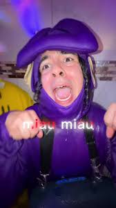 Kitty Miau