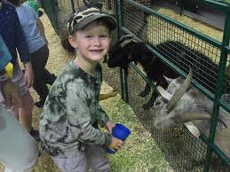 The 2021 rockhampton expo is the region's largest and most successful event of its kind. More Cute Photos From The Rockhampton Agricultural Show The Chronicle