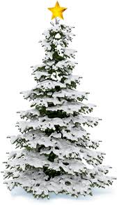 Christmas tree png illustrations & vectors. Download Thanks To All Our Generous Sponsors Christmas Tree Snow Png Png Image With No Background Pngkey Com