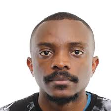 Looking for Menegotto Pinto plasticity model parameters explanation?