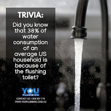 Australia S Leading Plumbing Services And Products Supplier Trivia Plumbing Problems Plumbing