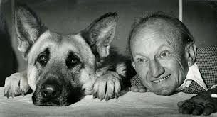 San Francisco is a dog haven