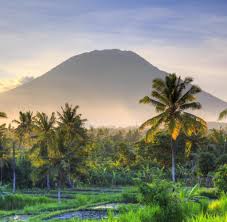 Dining in bali presents endless choices of exotic, local cuisine. Indonesien In Bali Auf Der Suche Nach Sonne Und Sinn Welt
