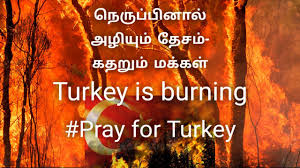 The cause of the fire in turkey, suspects are pkk activists 7bx9evub7nullm