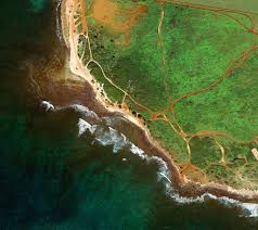 Google Pixel Xl Wallpapers Now Available For Download Google Pixel Wallpaper Earth View Google Pixel