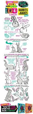 248 Rabbits Hares B Ks 04 Days Comic Tutorial Draw Life Drawing Reference