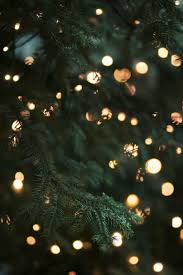 Merry christmas pics for fb free download, images, pictures, xmas. Christmas Tree Pictures Hq Download Free Images On Unsplash