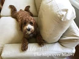Delicate fabrics are best for adults who don't have pets, kids, and craziness happening in their homes. Got Pets These 4 Protective Slipcover Fabrics Will Save Your Upholstery The Slipcover Maker