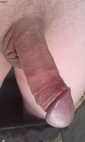 FotoSbor