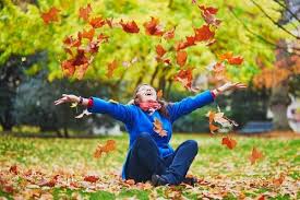 Here are some tips to keep your gardening looking great this fall. What To Do In The Garden In October Taverham Nursery Centre Norwich