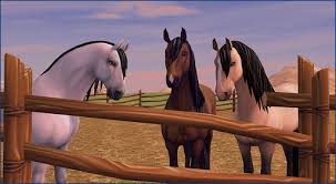 Ayla and umbra can join your stable for 950 star coins each and just like andalusians, they know how to perform the spanish walk! Clubpferd Und Cluboutfit Amazingmonkeys4us Webseite