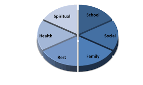 pie chart balanced total life counseling for children