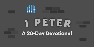 You Can Find Hope In God S Promises Hope In God 1 Peter Bible Reading Plan