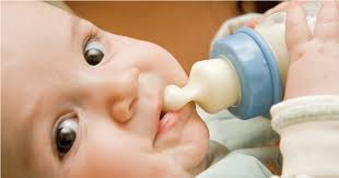 Growing up in malaysia, you'll of course have heard of fernleaf. Best Baby Milk Powder Formula In Malaysia 2021 Top Reviews Prices