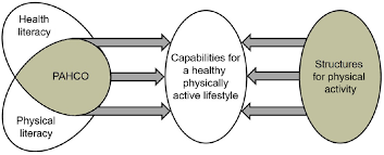 Increase your physically active today. Competencies For A Healthy Physically Active Lifestyle Reflections On The Model Of Physical Activity Related Health Competence In Journal Of Physical Activity And Health Volume 17 Issue 7 2020