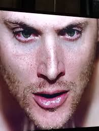 Introduction of new pet dog Dean to Supernatural Fandom Family