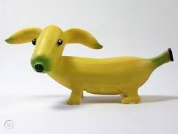 If your dog eats too much banana, you may notice some stomach upsets. Home Grown Banana Dachshund Figurine 220622435