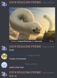 Save this page as a reference. Cursed Discord Convos Episode 92 By Foxodawg On Sketchers United