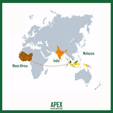 After the second world war, the british ministry of food committed to only purchasing palm oil. Apex Palm Oil History Of Palm Oil Tree Started From West