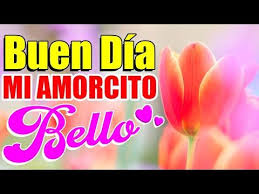 Buen Dia Mi Amorcito Bello Que Pases Un Bonito Dia Youtube En 2020 Buenos Dias Amor Que Tengas Bonito Dia Feliz Dia Mi Amor