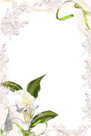 Transparent Calla Lily Png Photo Frame Ramki Besplatnye Ikonki Vinetki
