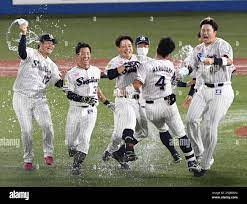 Members of Tokyo Yakult Swallows celebrate after winning the Nippon  Professional Baseball (NPB) Central League at Meiji Jingu Stadium in Tokyo  on September 25, 2022.( The Yomiuri Shimbun via AP Images Stock