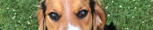 Julia and jen to tour our state of the art mobile vet unit, and receive free goodies for your dog or cat. Pet Vet Tractor Supply Coupon