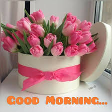 Good Morning Good Morning Flowers Flower Gift Beautiful Bouquet Of Flowers