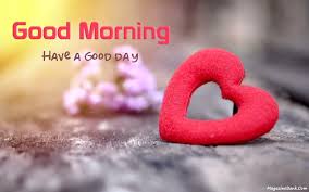 The fact is that one sweet good morning wish can make their entire day and help them achieve something extraordinary. Good Morning Inspirational Quotes With Images In English Sms Good Morning Inspirational Quotes Morning Inspirational Quotes Inspirational Quotes With Images