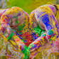 Holi Colour Run — Running for Resilience event image