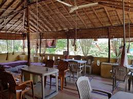 Pink Mango هوسبيت تعليقات حول المطاعم Tripadvisor