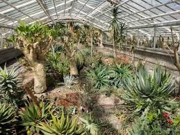 Veranstaltungen, programme für kinder oder die teilnahme an einer führung runden einen besuch. Der Botanische Garten Munchen Fantastische Flora In Nymphenburg