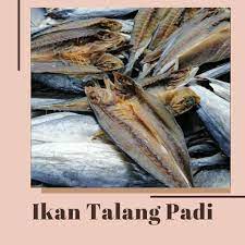 505 likes · 1 talking about this. Jaya Jaya Adakah Anda Teringin Nak Makan Talang Masin Facebook