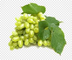Newer post older post home. Buah Hijau Oval Red Wine Verjuice Grape Green Bahan Anggur Hd Hijau Makanan Alami Makanan Daun Png Pngwing