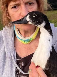 Friends of Mingus Park