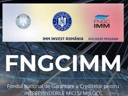 Un antreprenor poate obține un credit, chiar dacă nu are garanții proprii. Bancherul Fngcimm Fondul Nationala De Garantare A Creditelor Pentru Imm Garantii Credite Garantii Prima Casa Program Prima Casa