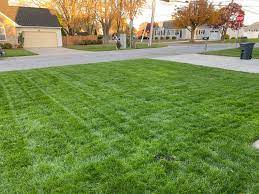 We did not find results for: I Didn T Get My Xbox Today So I Got To Cut My Grass Figured I D Share With Everyone Xboxseriesx
