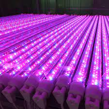 Maybe you would like to learn more about one of these? T8 Led Grow Tube Light For Plant From China Manufacturer Manufactory Factory And Supplier On Ecvv Com
