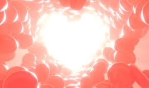 Cuando usted consume proteínas, el cuerpo las descompone en aminoácidos. Urea Baja En Sangre Hipoazoemia Que Significa Cuidatecv